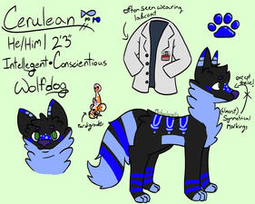Feral Example